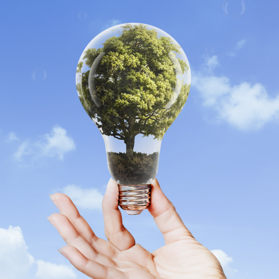 Lampadina con albero